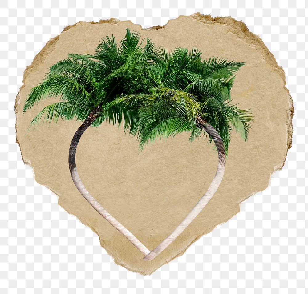 Palm frame png sticker, ripped paper, transparent background