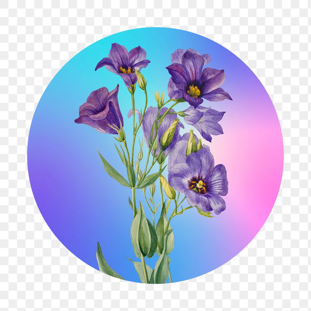 Png Lily flowers on gradient background on gradient shape, round badge in transparent background