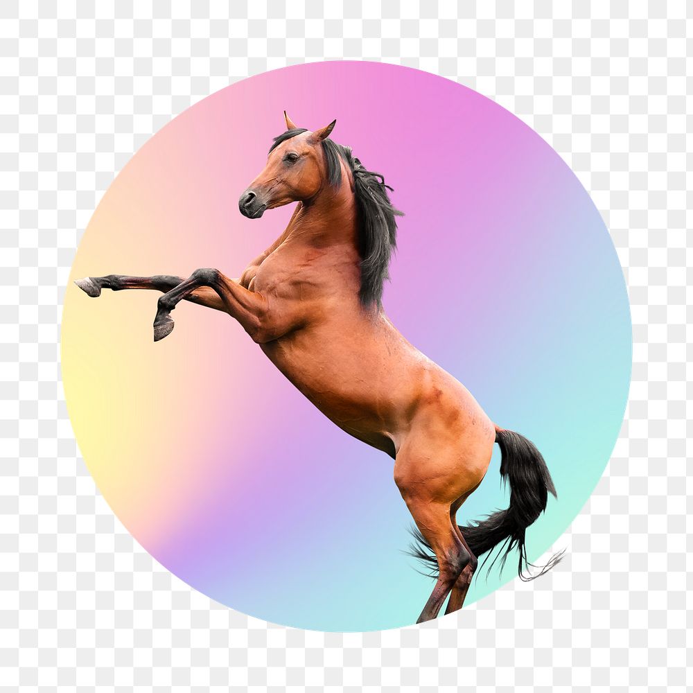 Brown horse png, round badge, transparent background