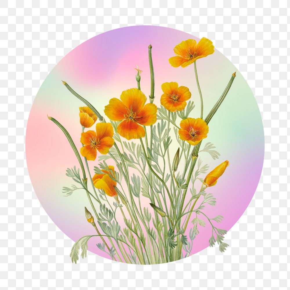 Yellow flower png on gradient shape, round badge in transparent background