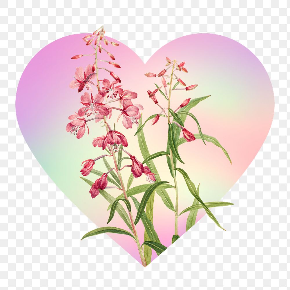 Pink flower png on gradient shape, heart badge in transparent background