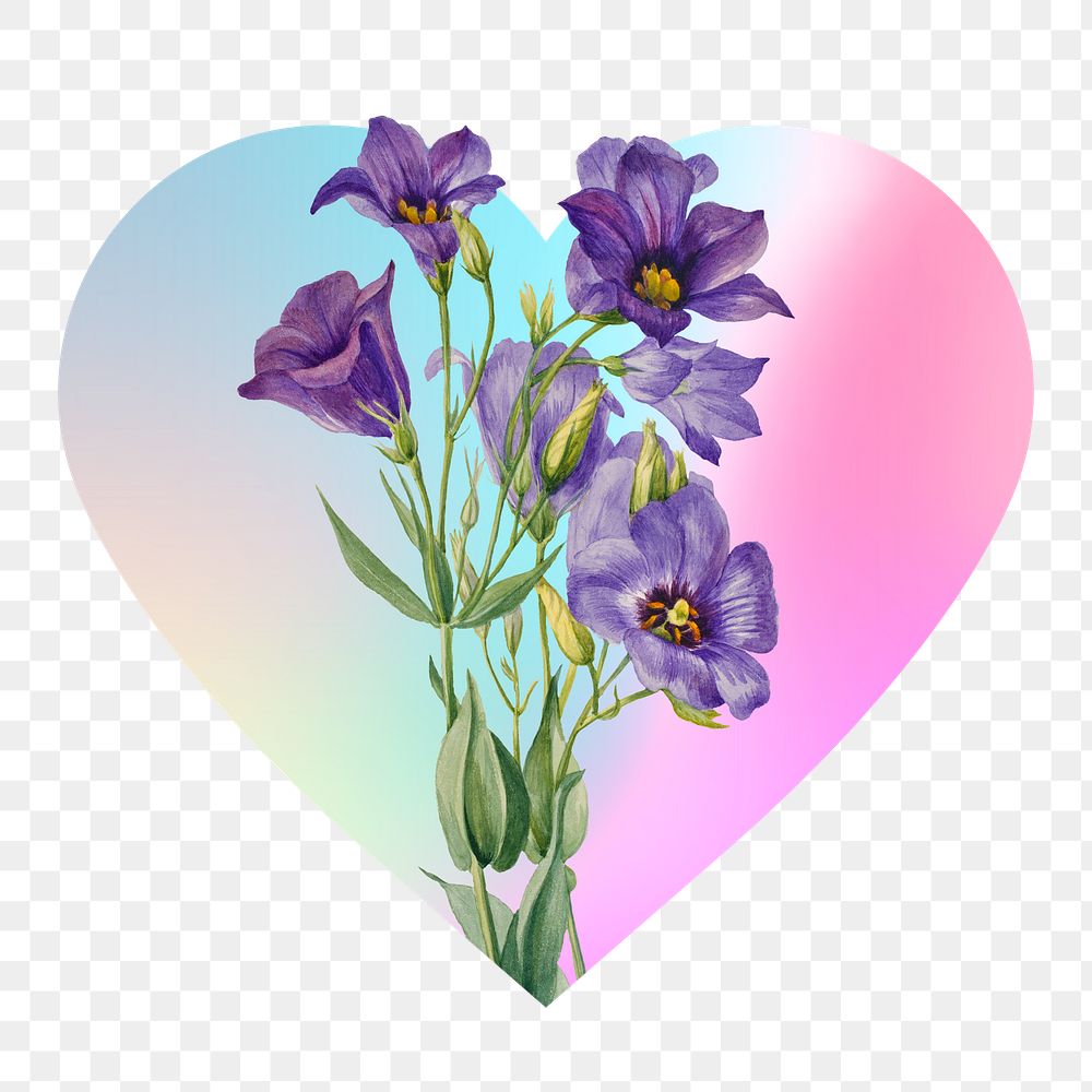 Png Lily flowers on gradient background on gradient shape, heart badge design in transparent background