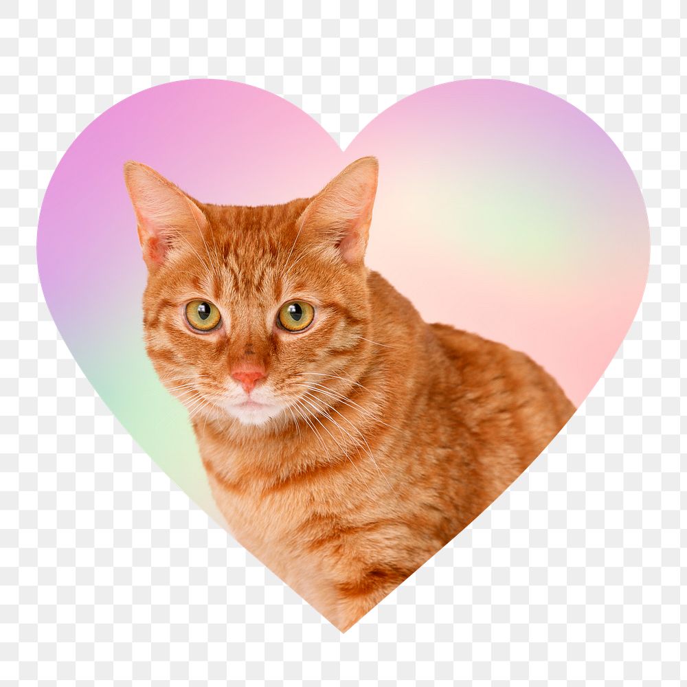 Cute tabby cat png, heart badge design in transparent background