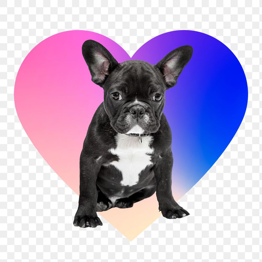 French bulldog png, heart badge design in transparent background