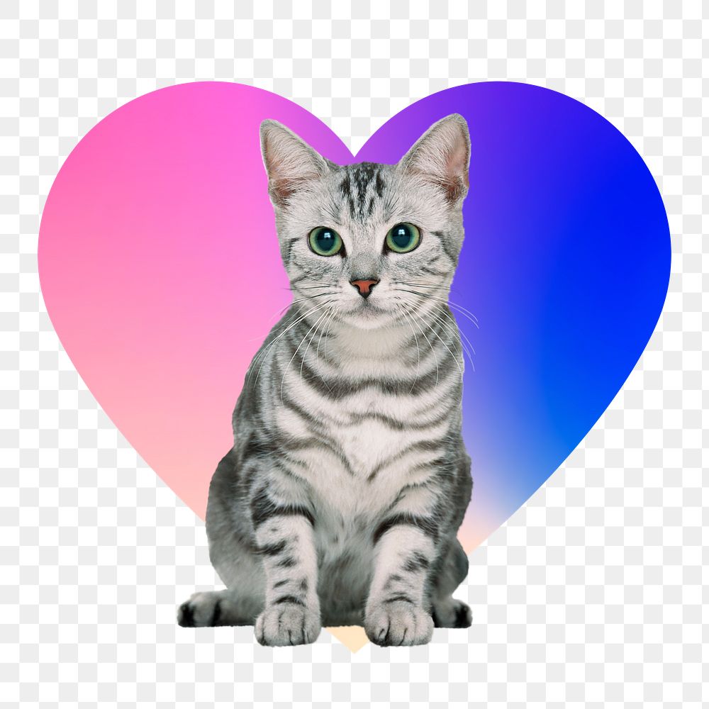 Gray tabby kitten png, heart badge design in transparent background