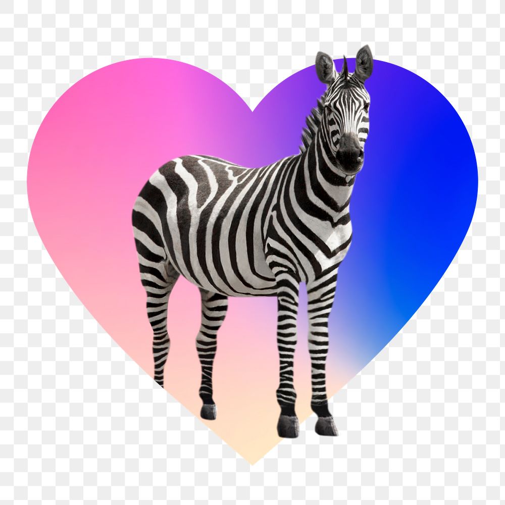 Zebra png, heart badge design in transparent background