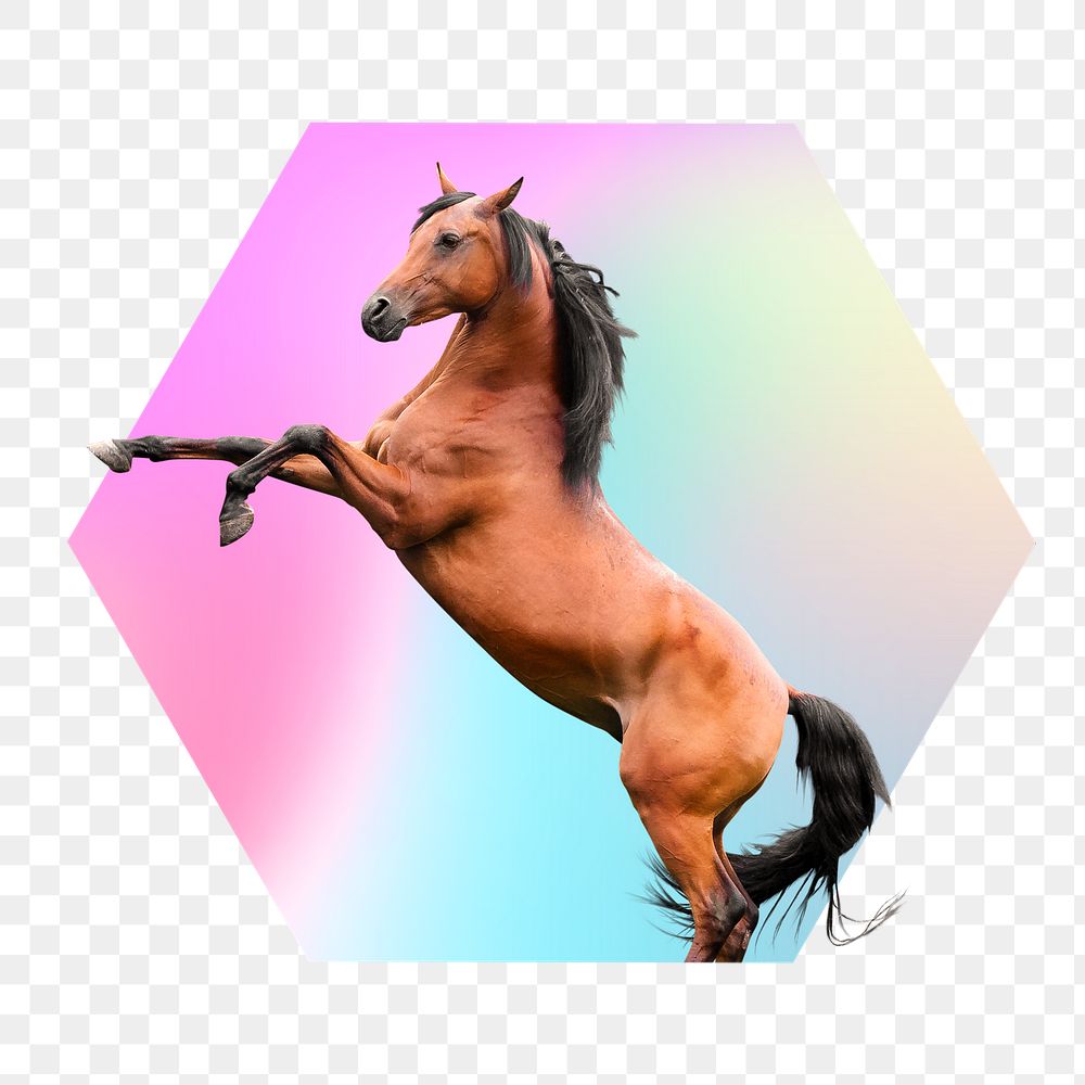 Brown horse png, hexagon badge in transparent background