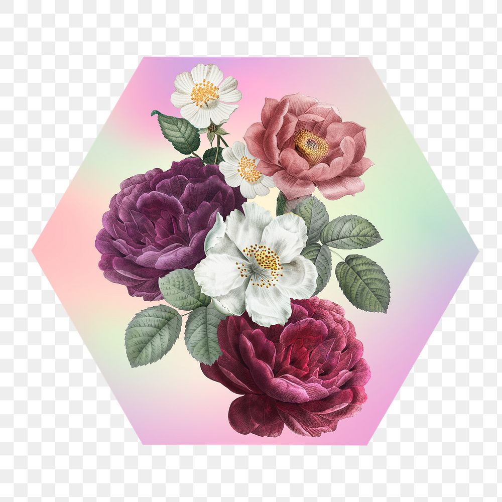 Rose png on gradient shape, hexagon badge in transparent background