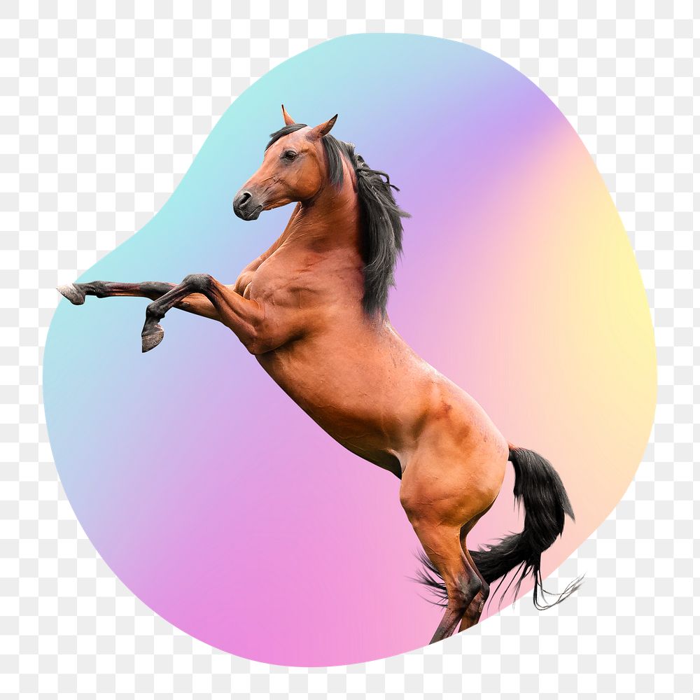 Brown horse png, transparent background