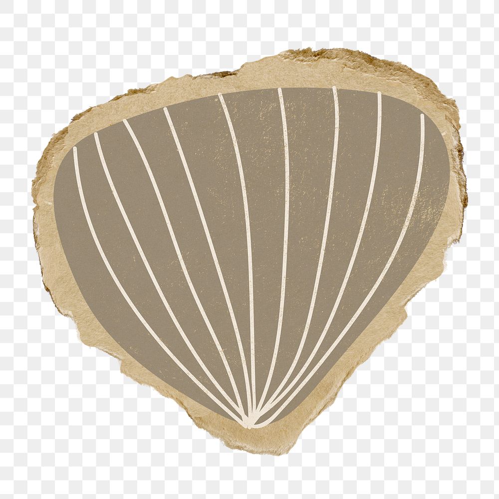 Brown shell png sticker, abstract torn paper, transparent background