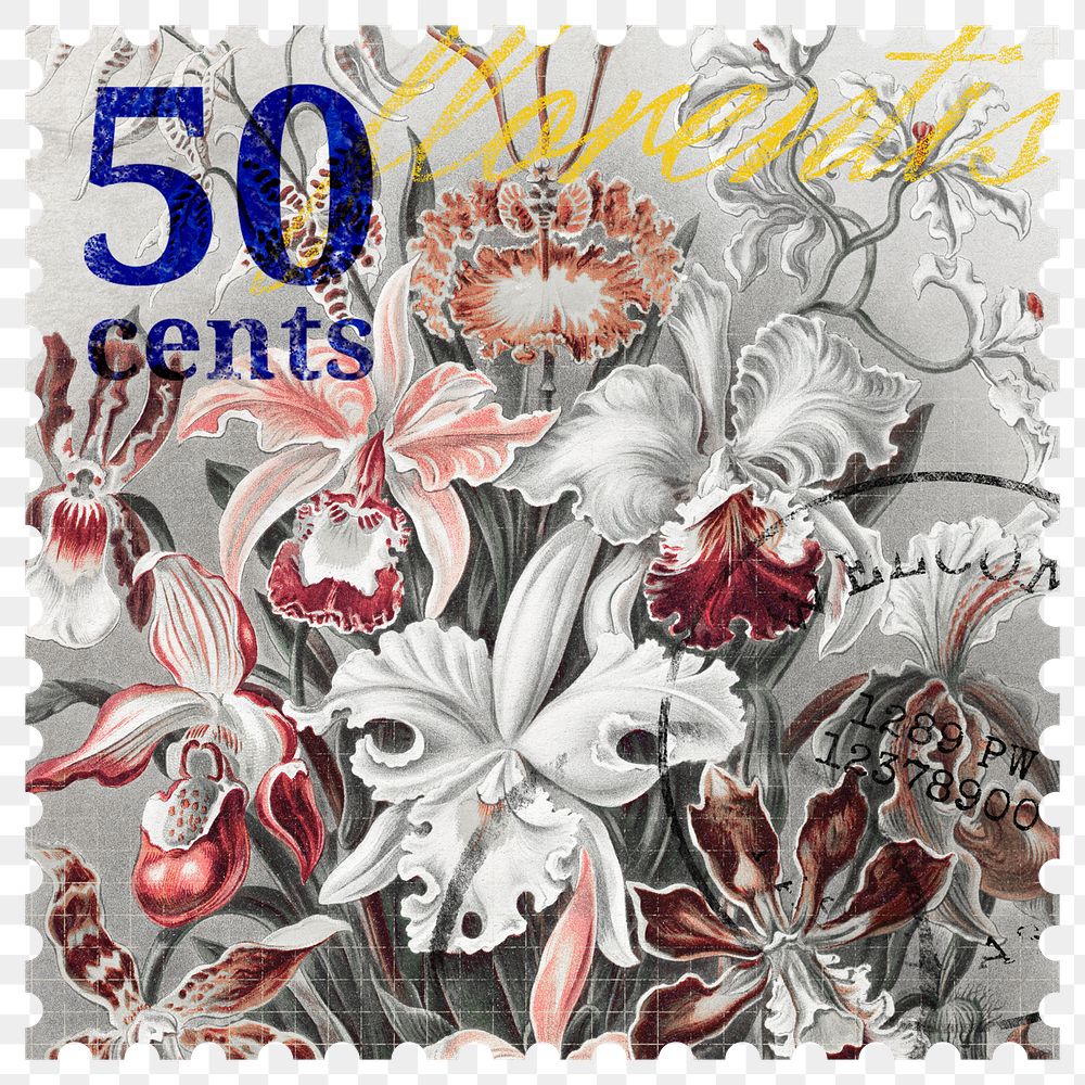 PNG flower postage stamp, aesthetic collage element, transparent background