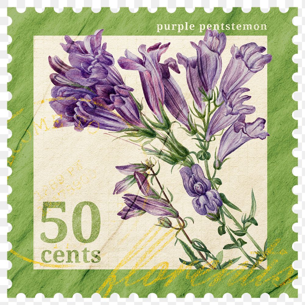 PNG floral postage stamp, aesthetic purple beardtongues flower collage element, transparent background