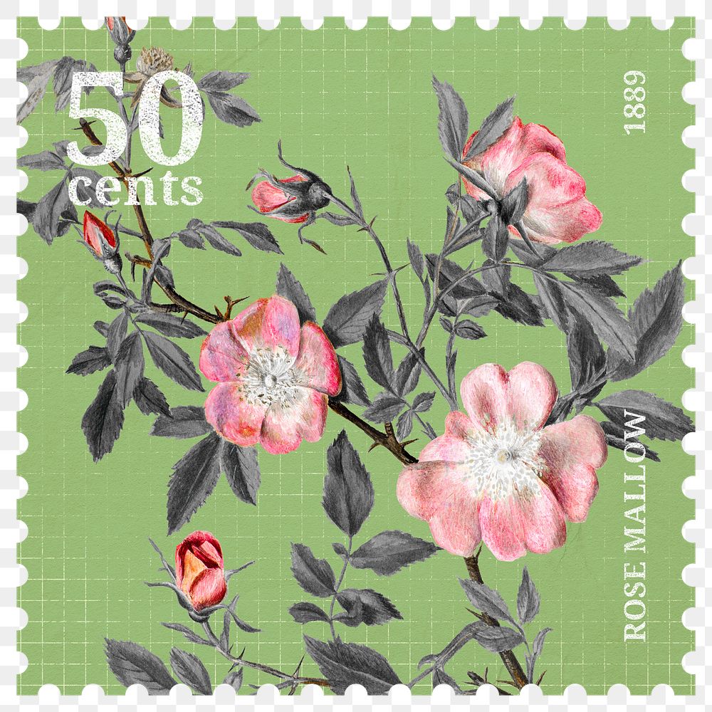 PNG floral postage stamp, aesthetic pink flower collage element, transparent background