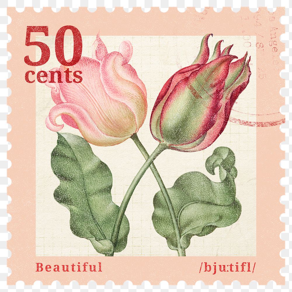 PNG rose postage stamp, Valentine's collage element, transparent background