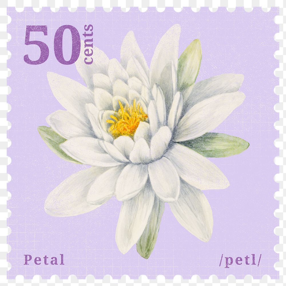 PNG vintage flower postage stamp, water lily collage element, transparent background
