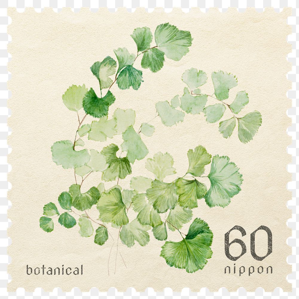 PNG botanical postage stamp, aesthetic ginkgo, transparent background