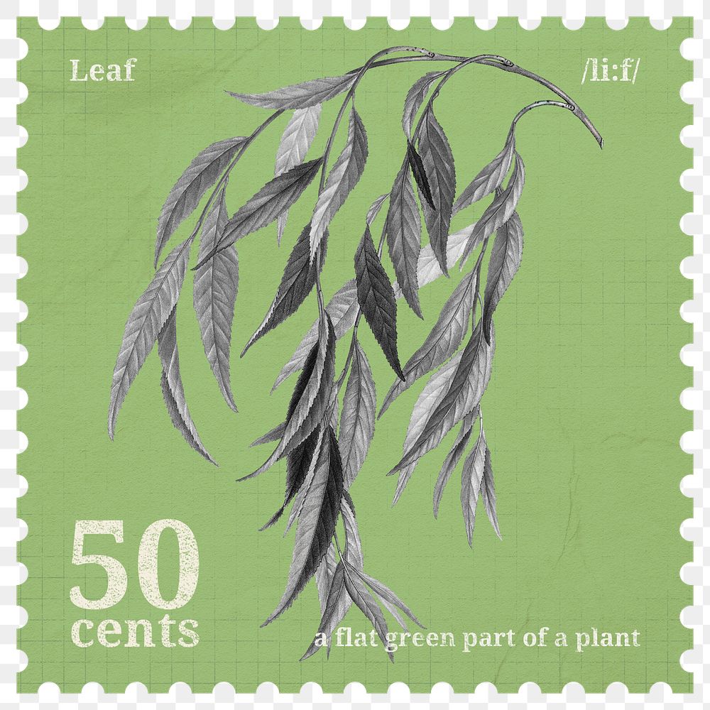Postage stamp png, weeping willow leaf sticker, aesthetic collage element, transparent background