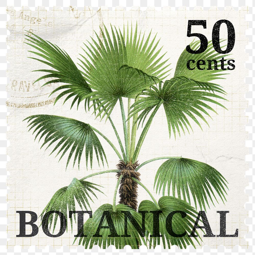 PNG botanical postage stamp, aesthetic palm tree collage element, transparent background