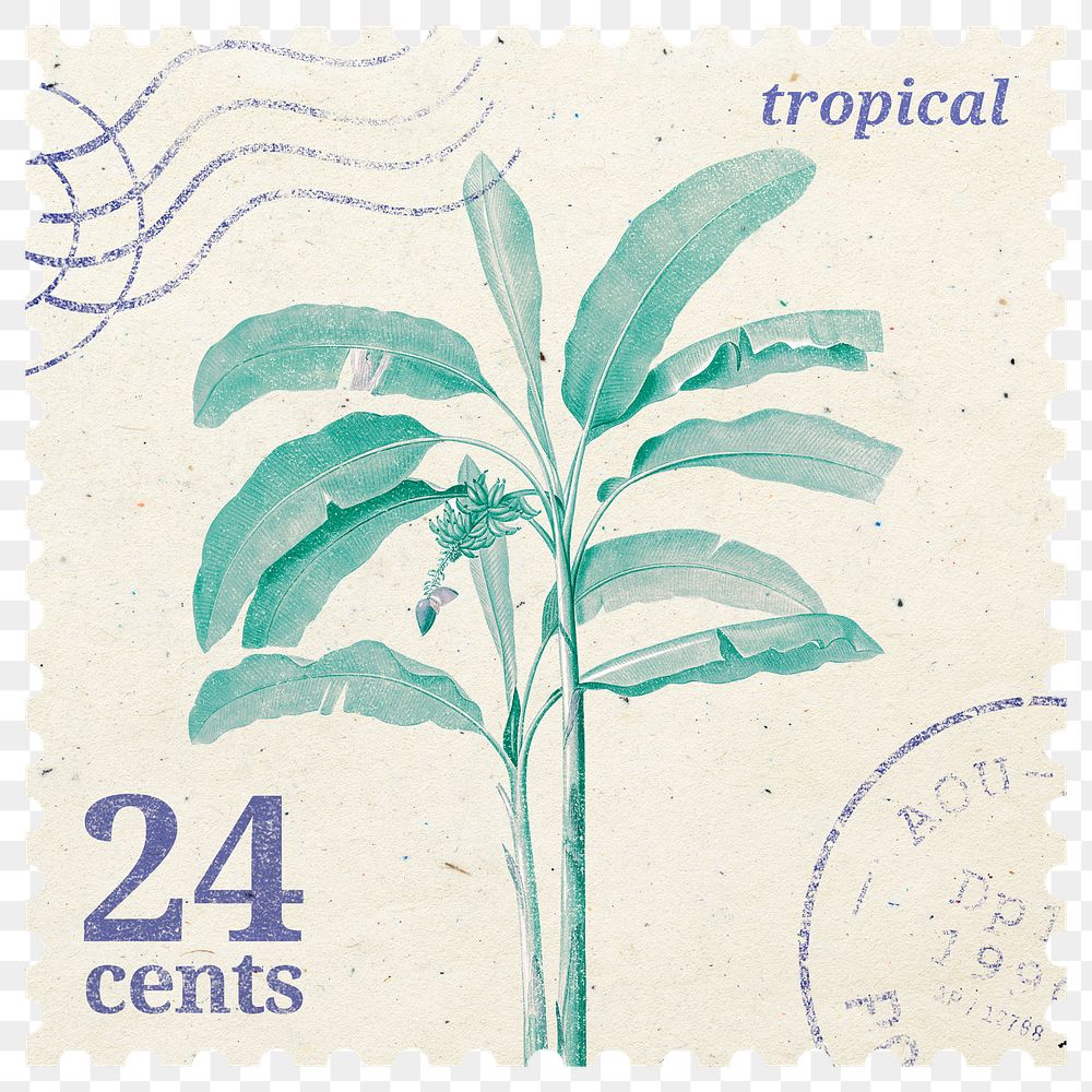 PNG botanical postage stamp, aesthetic banana tree collage element, transparent background