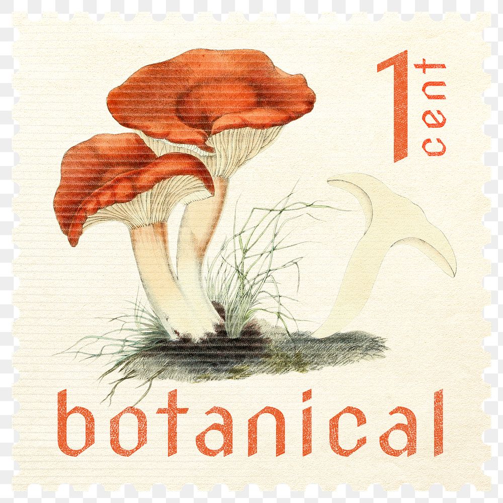 Postage stamp png, aesthetic mushroom, ephemera collage element, transparent background, remixed by rawpixel