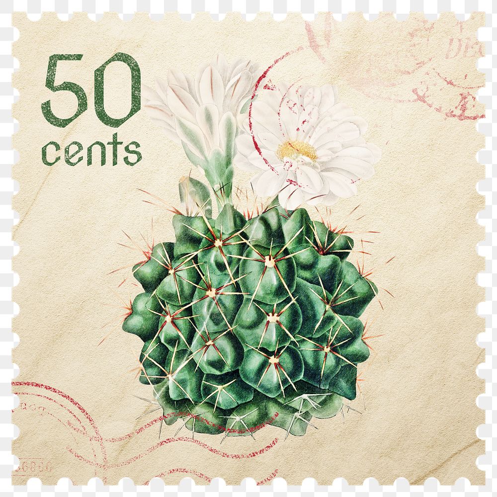 PNG cactus postage stamp, ephemera botanical collage element, transparent background, remixed by rawpixel