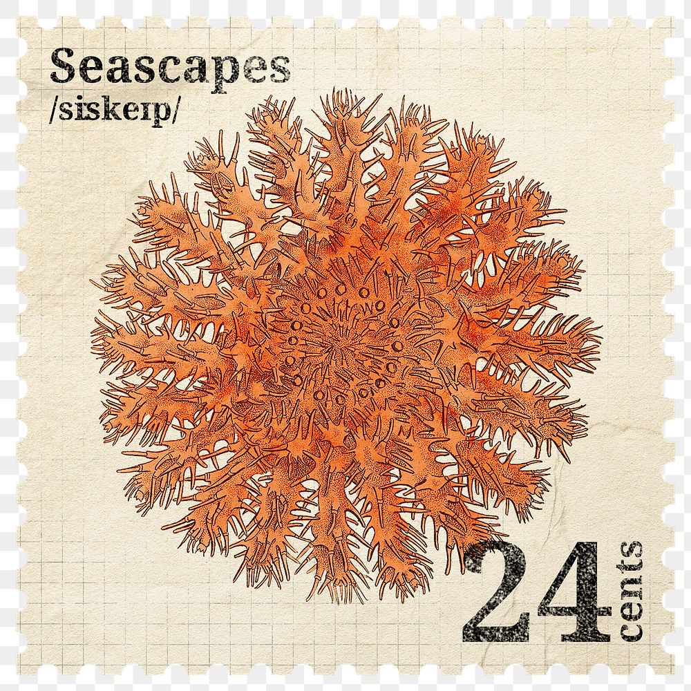 PNG aesthetic postage stamp sticker, ephemera starfish collage element, transparent background, remixed by rawpixel