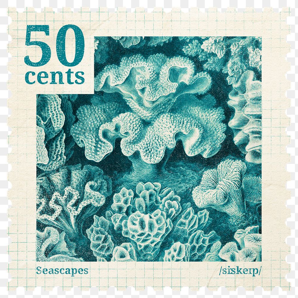PNG aesthetic postage stamp sticker, ephemera coral collage element, transparent background, remixed by rawpixel