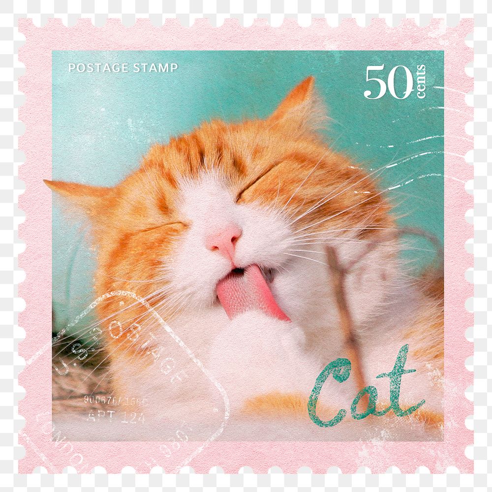 Cute cat png post stamp sticker, transparent background