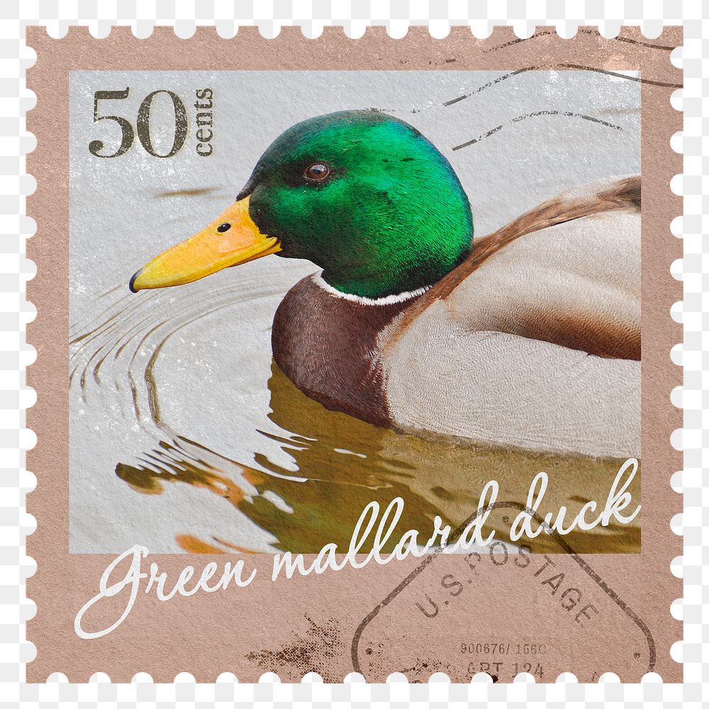 Duck png post stamp sticker, transparent background