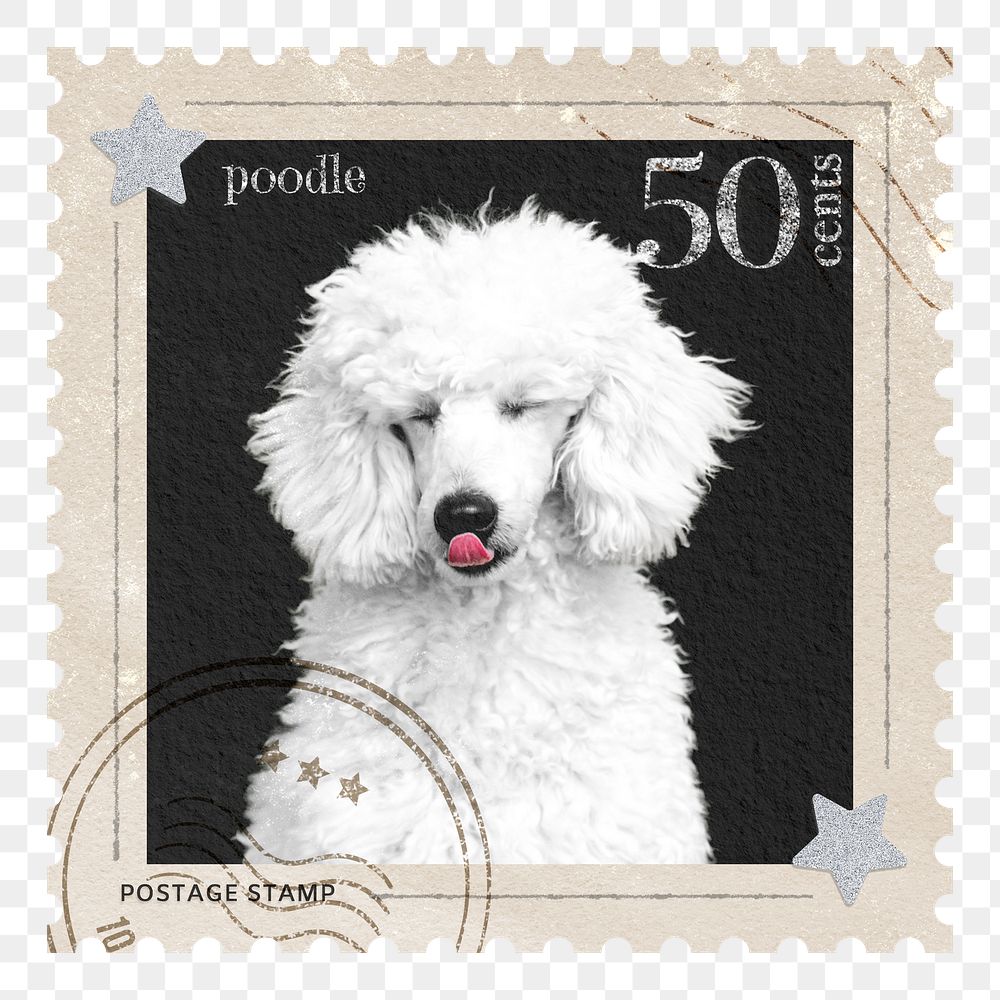 Poodle png post stamp sticker, transparent background