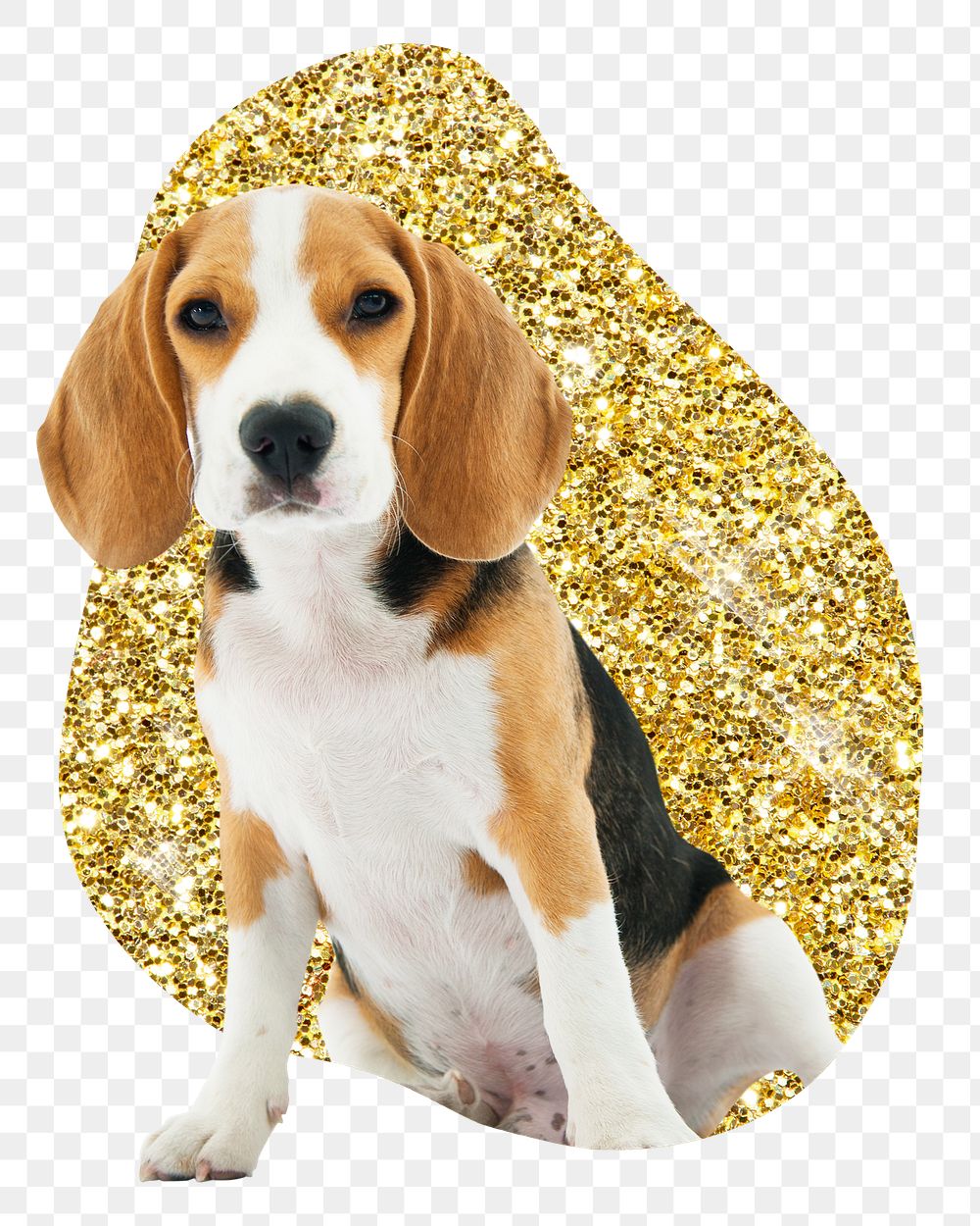 Beagle dog png badge sticker, gold glitter blob shape, transparent background