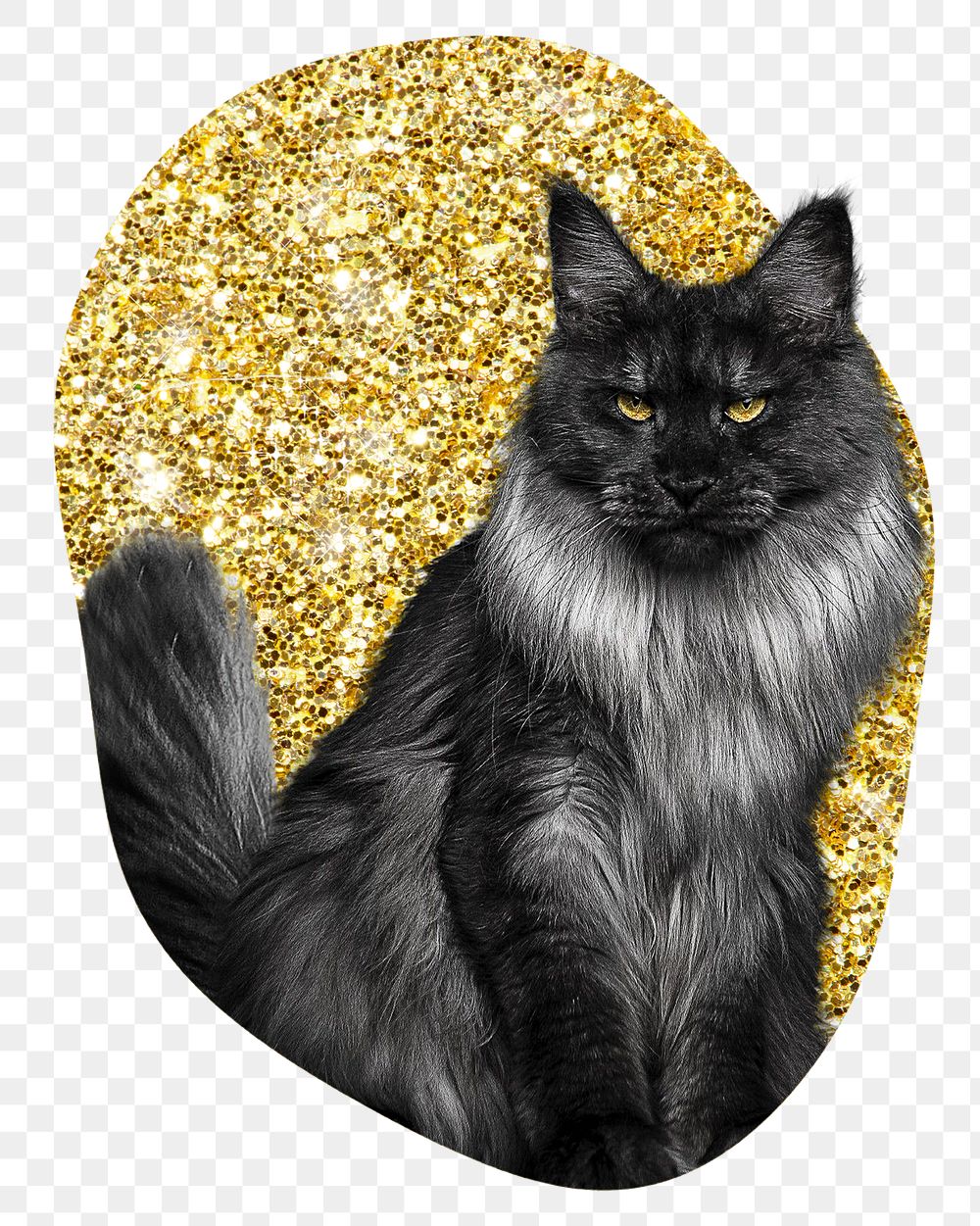 Angora cat png badge sticker, gold glitter blob shape, transparent background