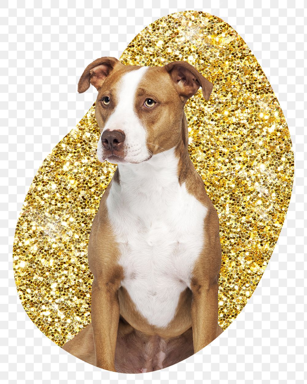 Png Pit bull terrier dog badge sticker, gold glitter blob shape, transparent background