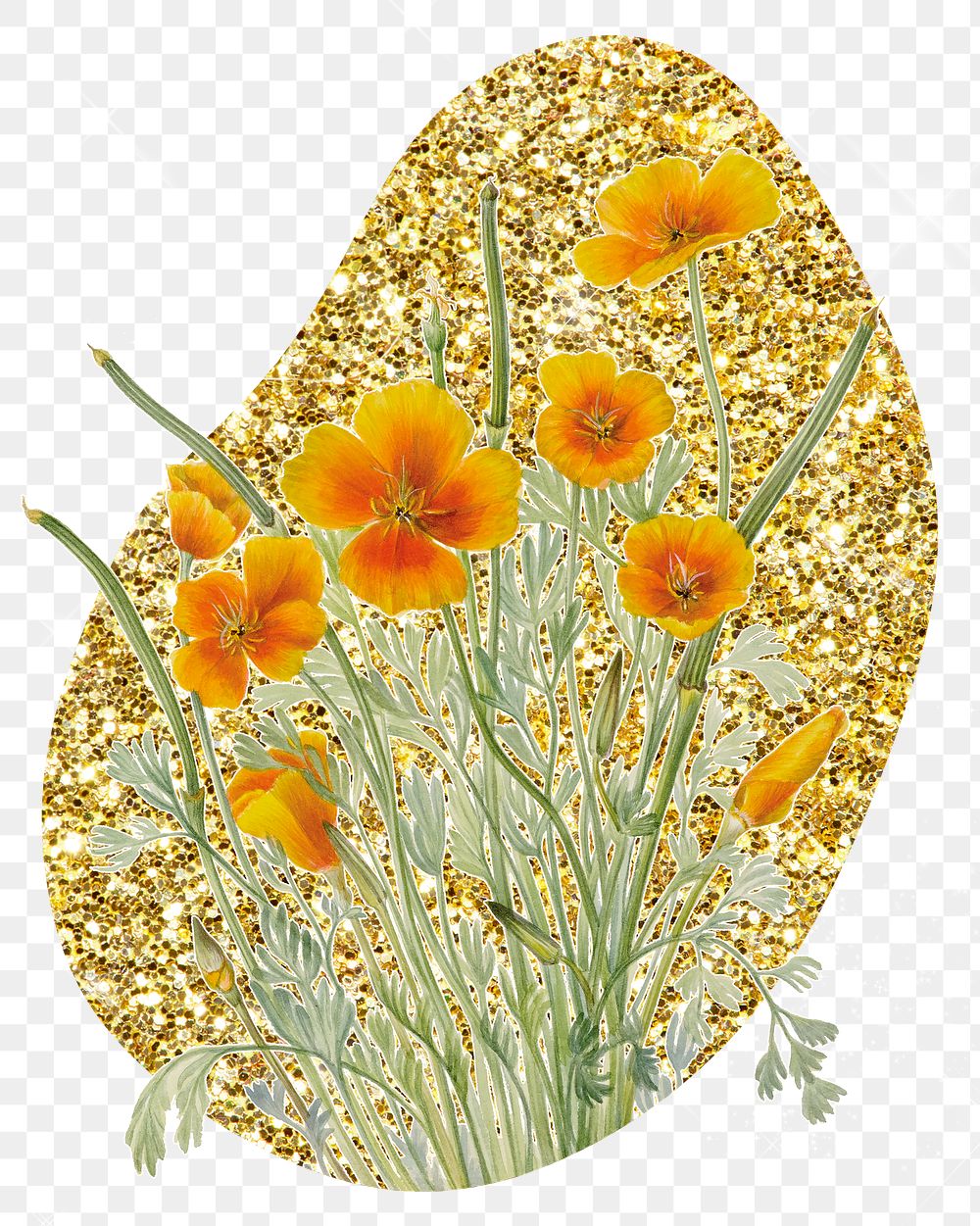Png yellow Mexican poppy flower badge sticker, gold glitter blob shape, transparent background