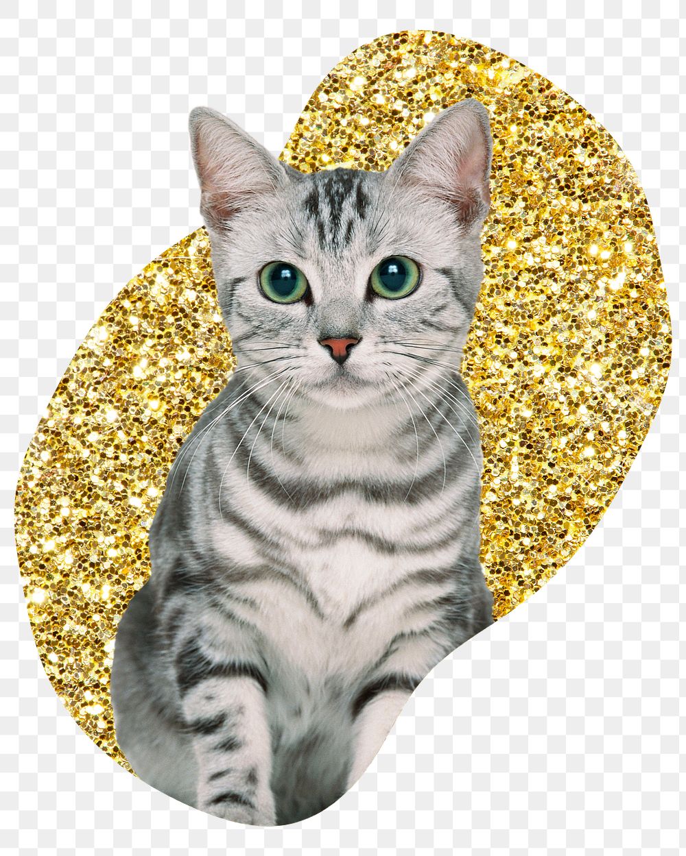 Png American shorthair cat badge sticker, gold glitter blob shape, transparent background