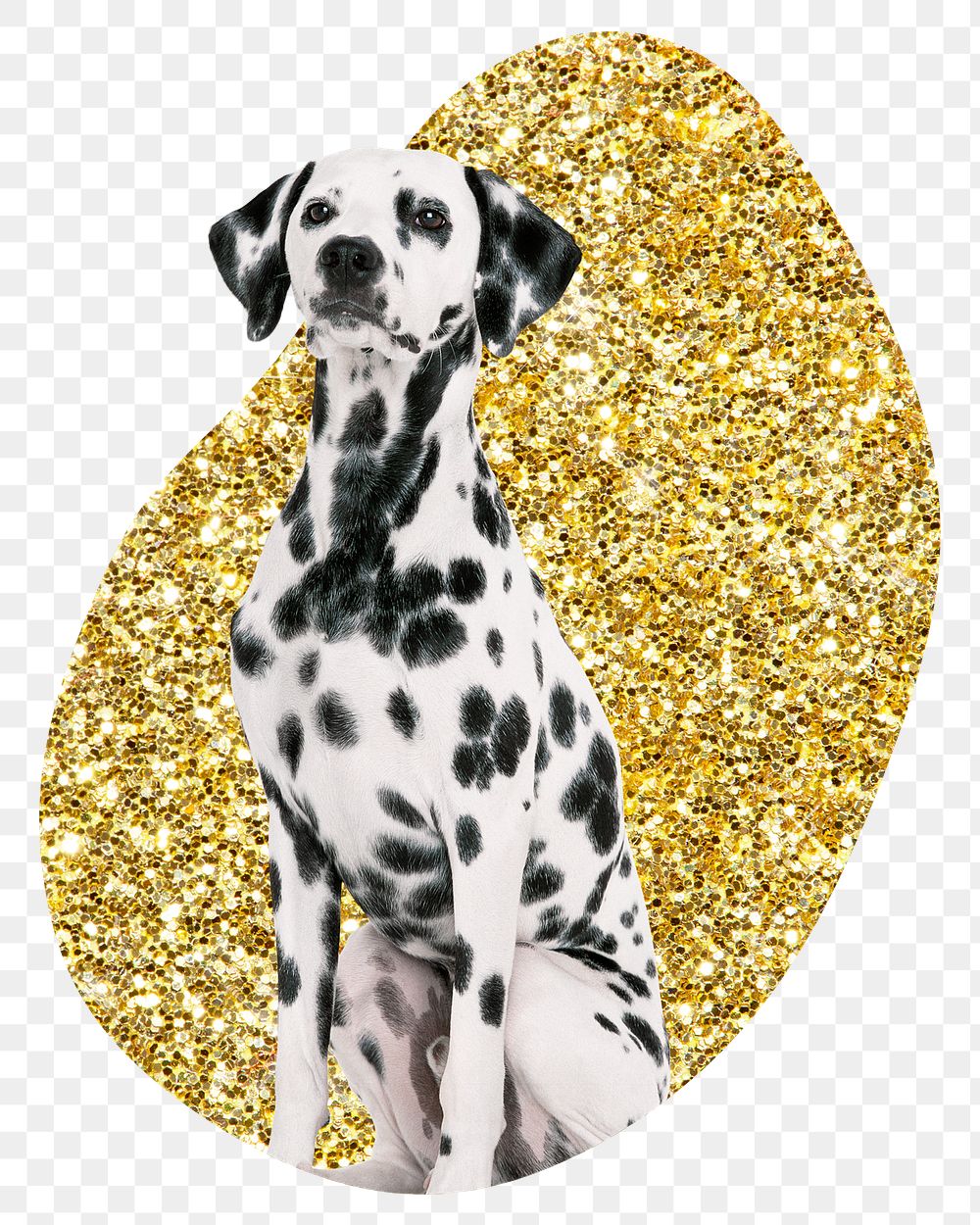 Dalmatian dog png badge sticker, gold glitter blob shape, transparent background