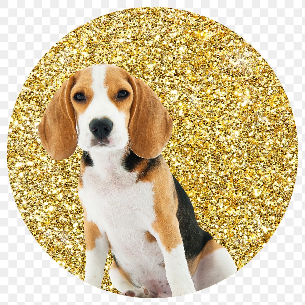 Beagle dog png badge sticker, gold glitter circle shape, transparent background