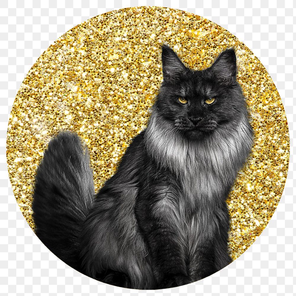 Angora cat png badge sticker, gold glitter circle shape, transparent background