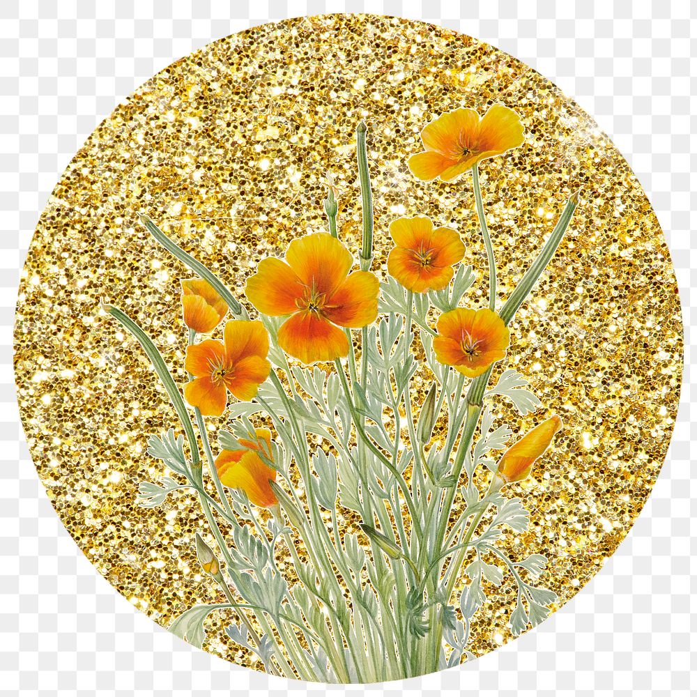Png yellow Mexican poppy flower badge sticker, gold glitter circle shape, transparent background
