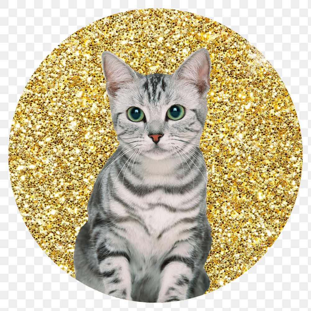 Png American shorthair cat badge sticker, gold glitter circle shape, transparent background