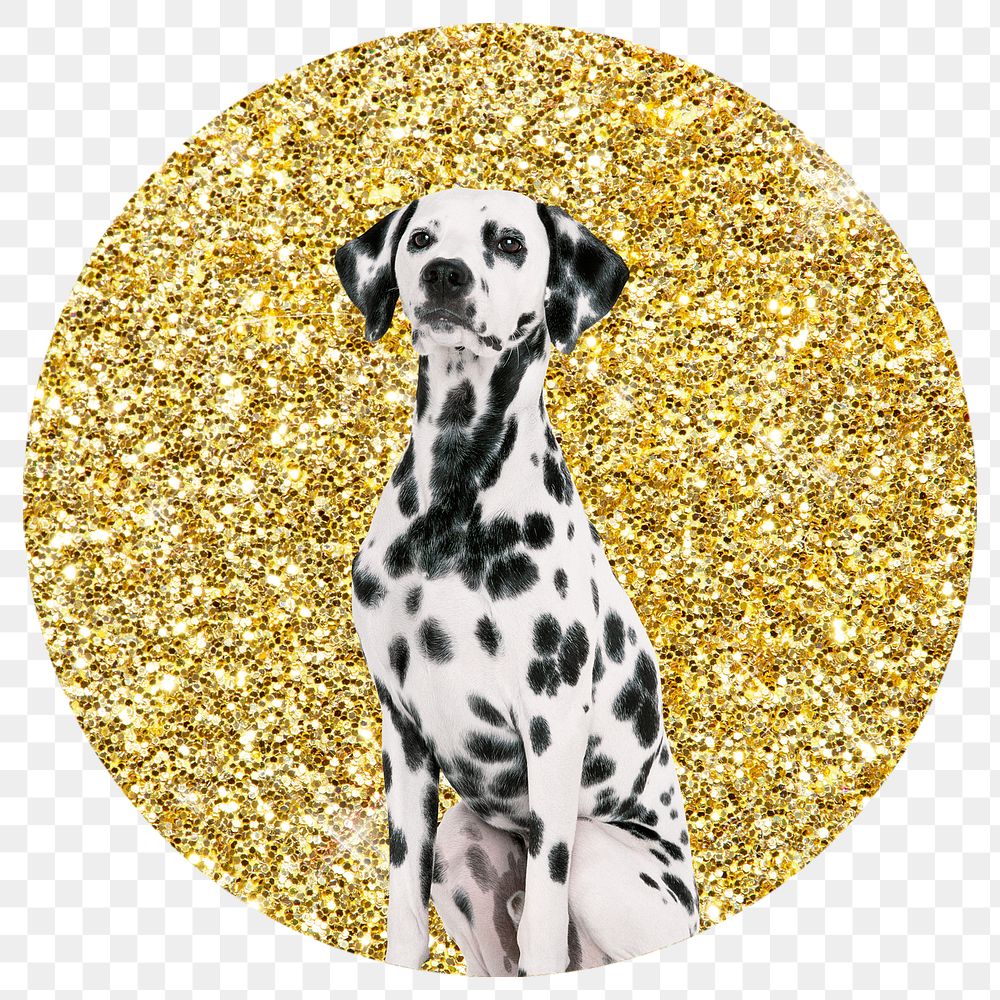 Dalmatian dog png badge sticker, gold glitter circle shape, transparent background