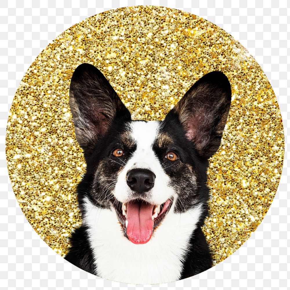Png Welsh Corgi dog badge sticker, gold glitter circle shape, transparent background