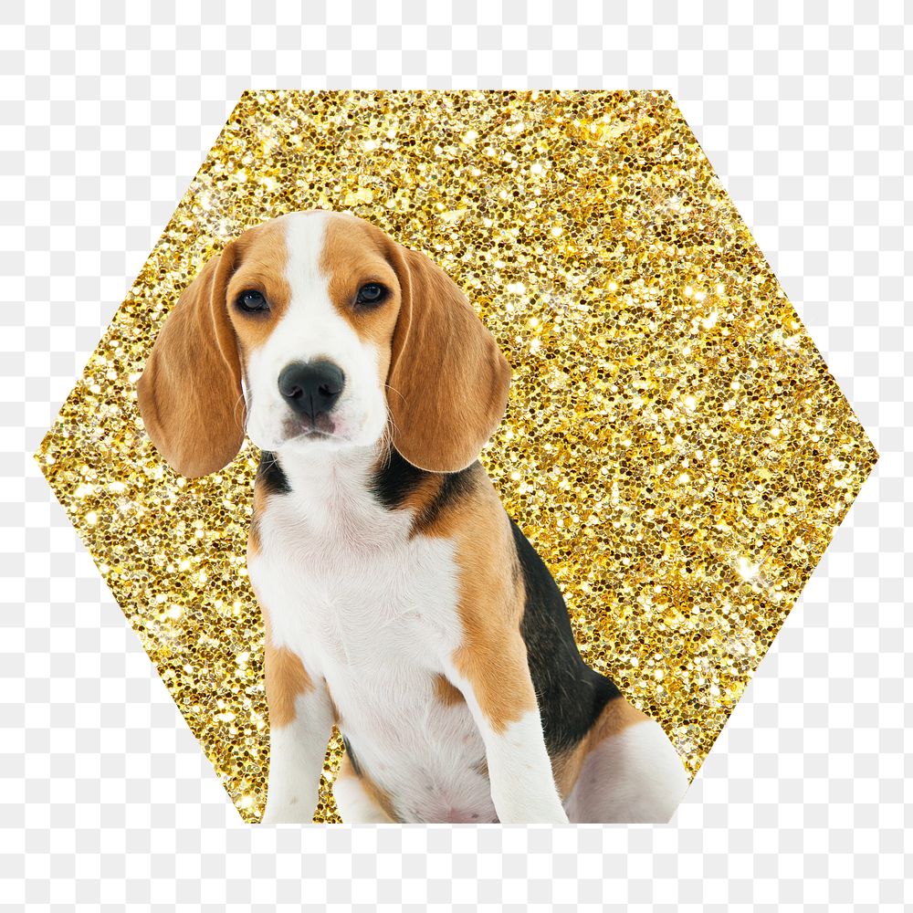 Beagle dog png badge sticker, gold glitter hexagon shape, transparent background