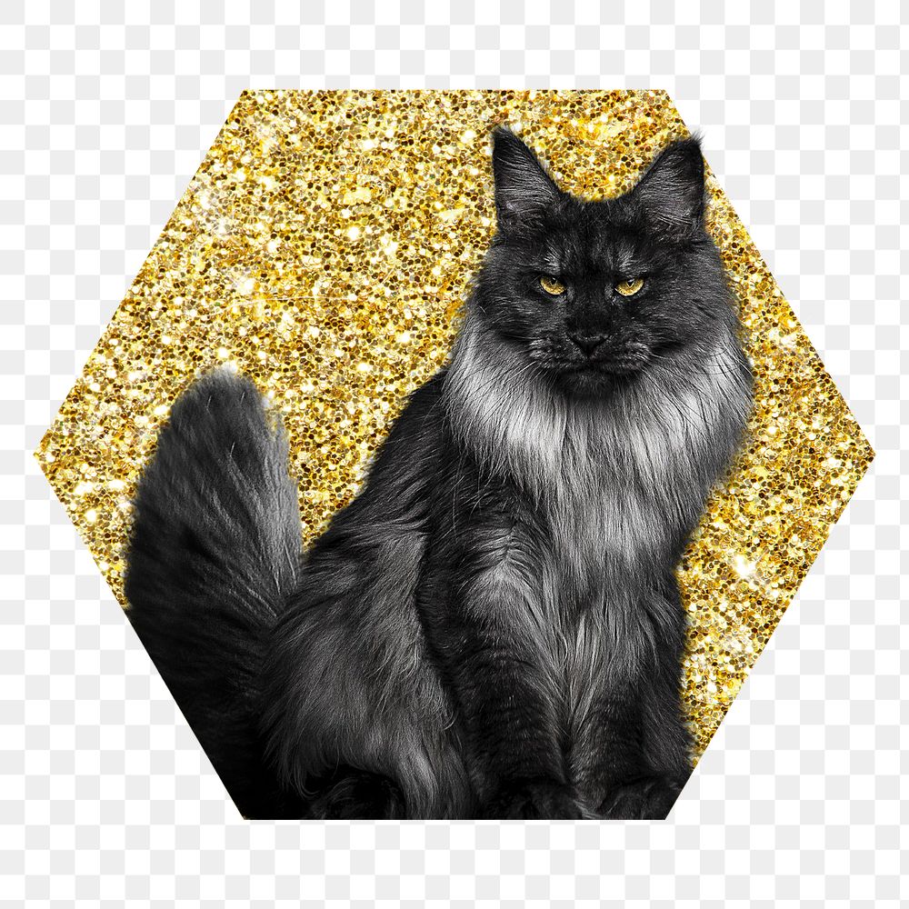 Angora cat png badge sticker, gold glitter hexagon shape, transparent background