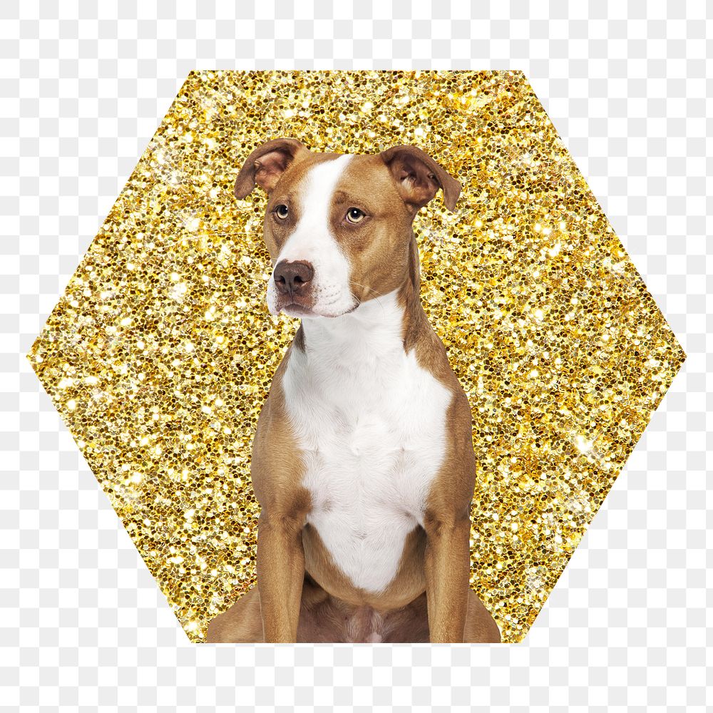 Png Pit bull terrier dog badge sticker, gold glitter hexagon shape, transparent background