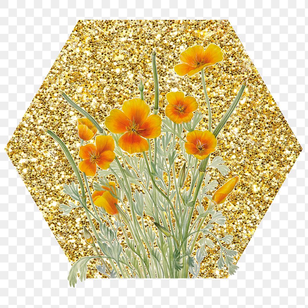 Png yellow Mexican poppy flower badge sticker, gold glitter hexagon shape, transparent background
