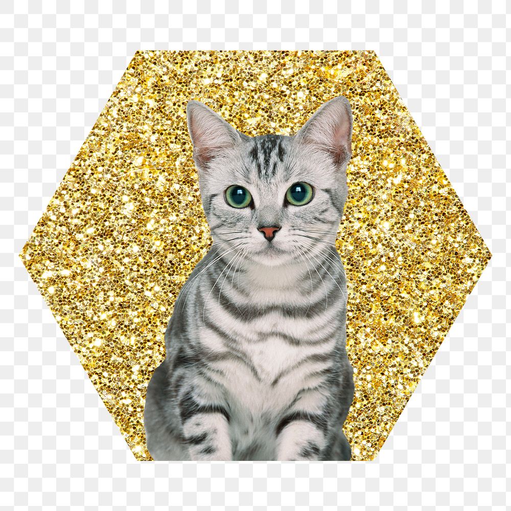 Png American shorthair cat badge sticker, gold glitter hexagon shape, transparent background