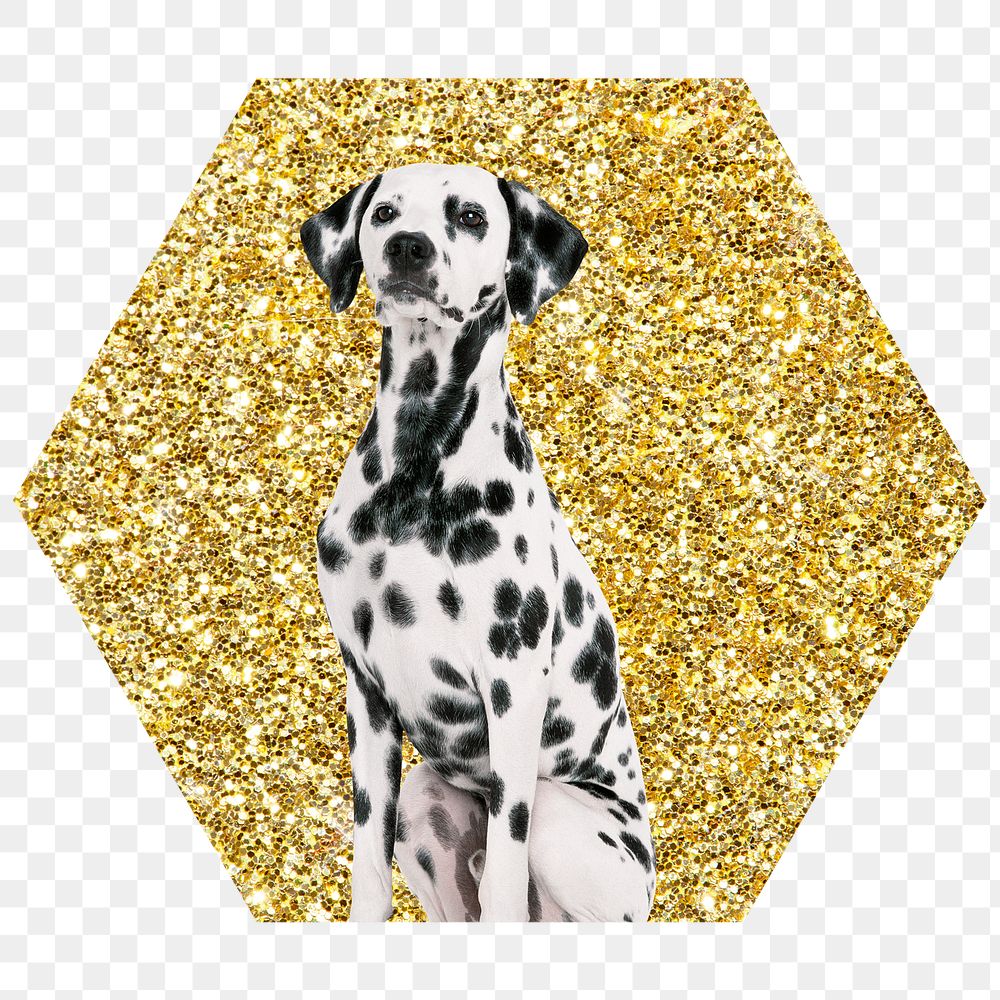 Dalmatian dog png badge sticker, gold glitter hexagon shape, transparent background