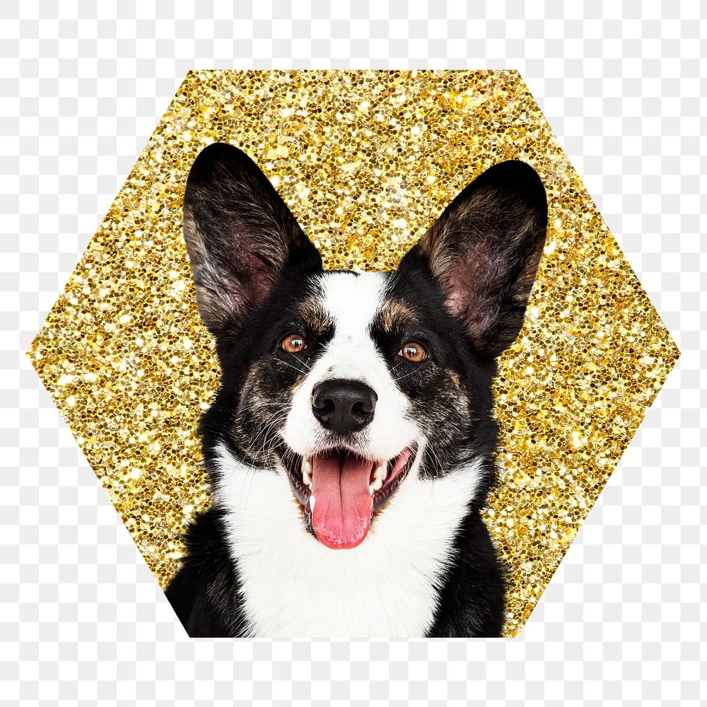 Png Welsh Corgi dog badge sticker, gold glitter hexagon shape, transparent background
