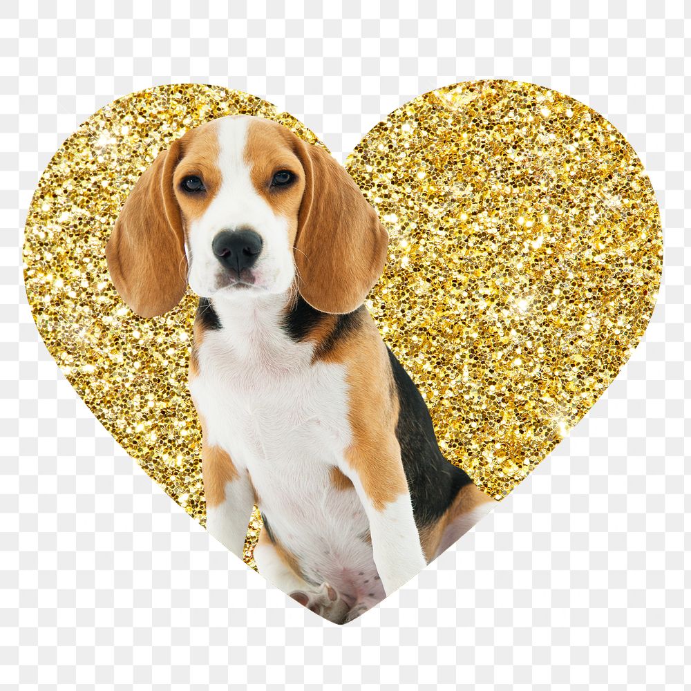Beagle dog png badge sticker, gold glitter heart shape, transparent background